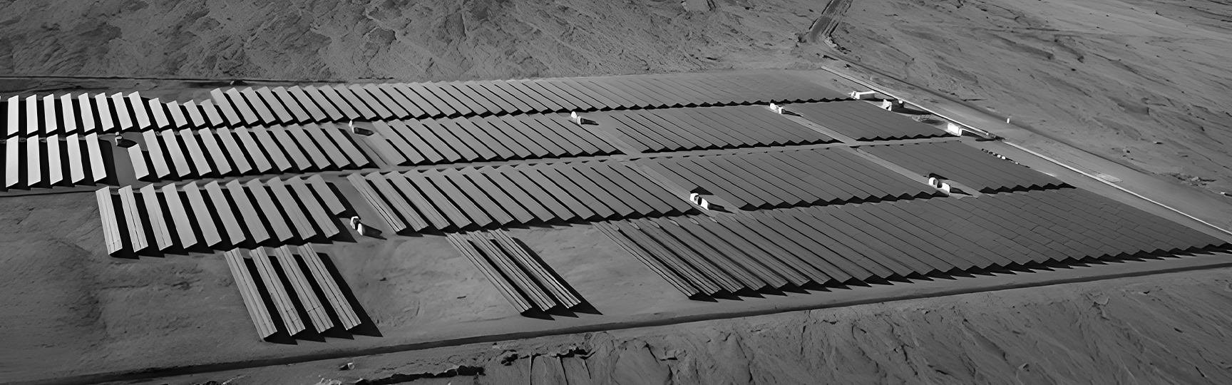 Sustainability & Innovation